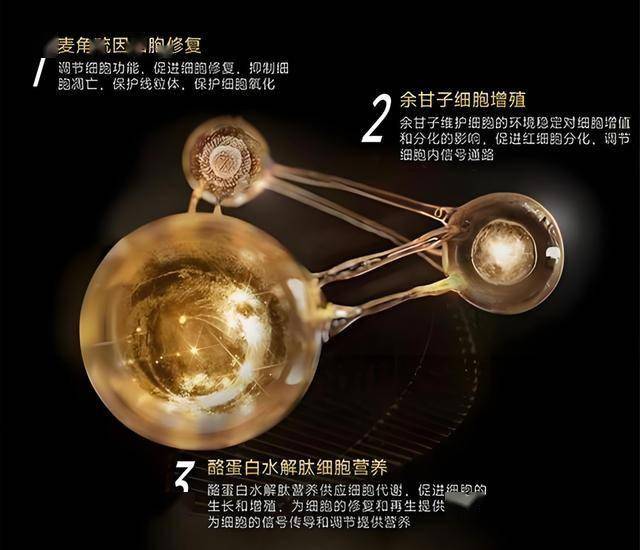 ex外汇官方网站这个外汇平台的交易生态，你了解吗？揭秘EX平台背后不为人知的秘密！